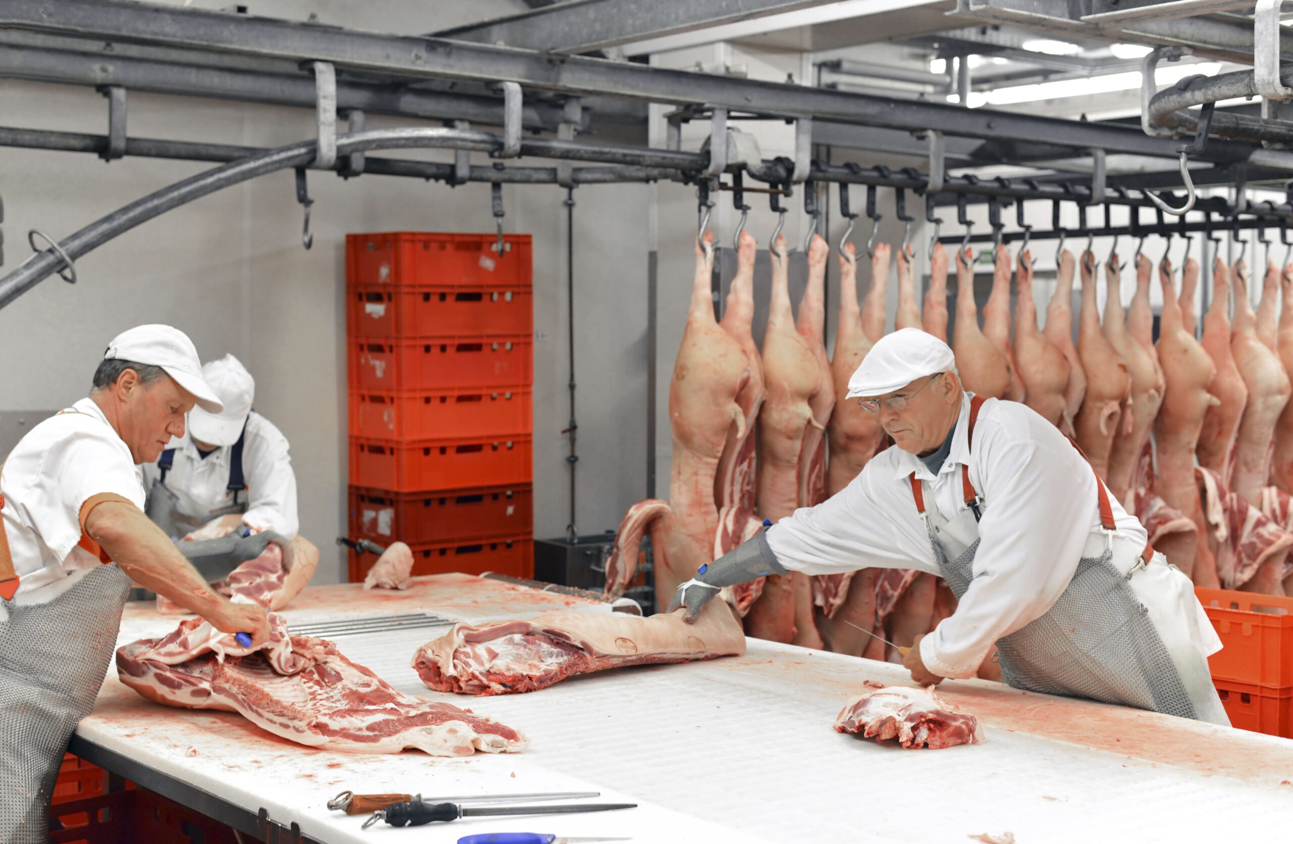 processing-of-pig-carcasses-in-a-slaughterhouse-2024-09-16-22-53-40-utc