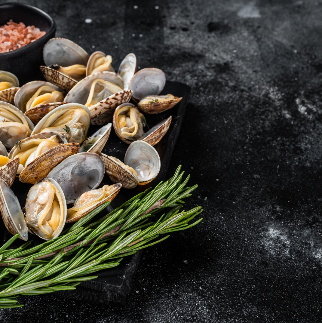 steamed-shellfish-clams-with-garlic-and-herbs-bla-2023-11-27-04-54-39-utc